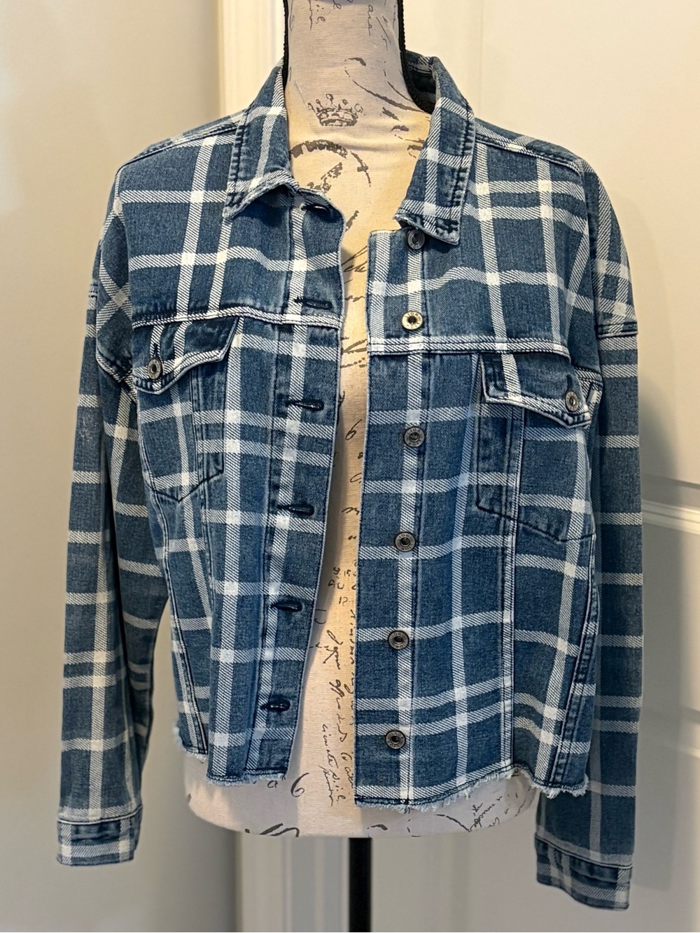 Lior Paris Plaid Denim Jacket Large Frayed Hem Button Front Shacket Blue